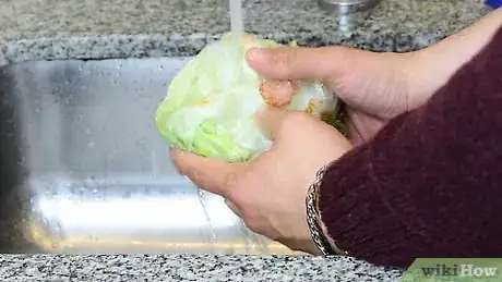 Image titled Clean Cabbage Step 1