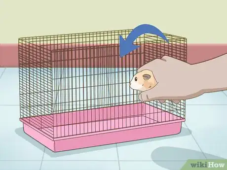 Image titled Give Your Hamster a Bath Step 9