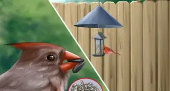 Attract Cardinals