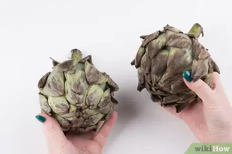 Image titled Steam Artichokes Step 1