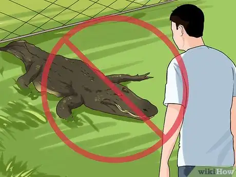 Image titled Avoid an Alligator Attack Step 8