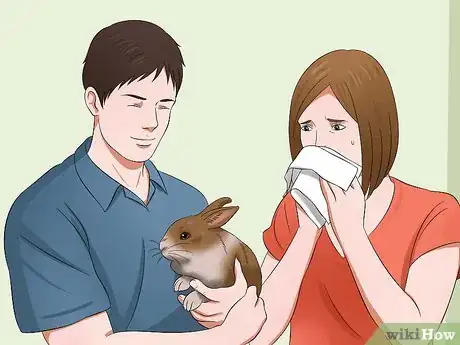 Image titled Buy a Rabbit Step 14