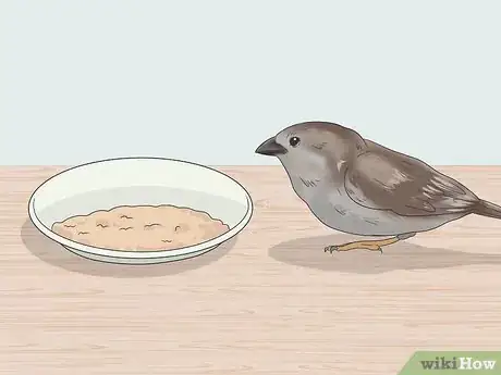 Image titled Feed a Baby Sparrow Step 10