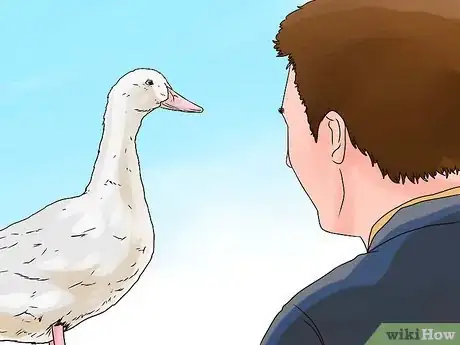 Image titled Care for a Pet Duck Step 15