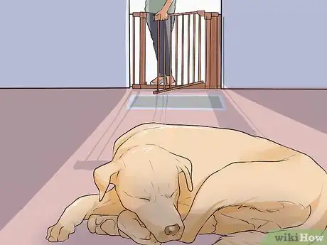 Image titled Handle Sleep Aggression in Senior Dogs Step 4