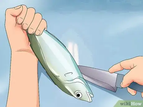 Image titled Clean_Gut a Fish Step 6