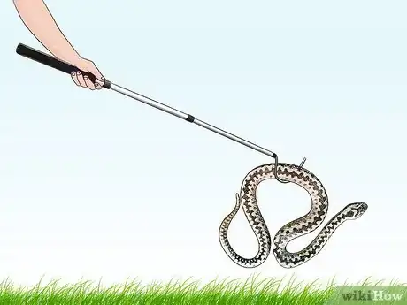 Image titled Prevent Snake Bites Step 9