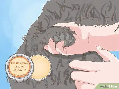 Image titled Stop a Dog from Licking Its Paws with Home Remedies Step 11