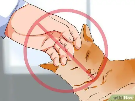 Image titled Prevent Cat Allergies Step 8