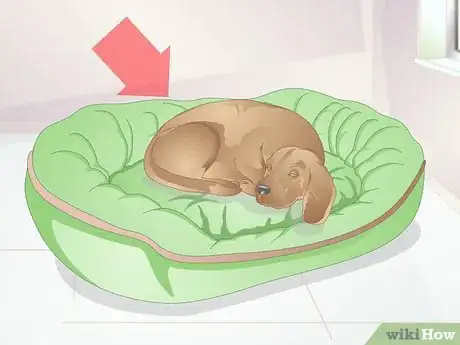 Image titled Choose a Place for Your Dog to Sleep Step 1