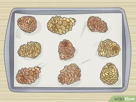 Image titled Preserve Pinecones Step 7