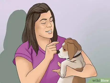 Image titled Get a Dog to Listen Step 12