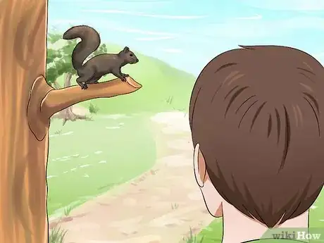 Image titled Raise a Baby Squirrel Step 1