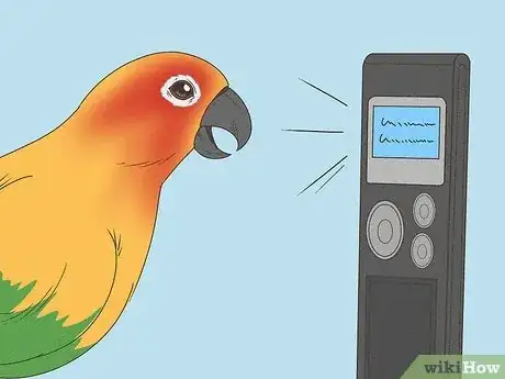 Image titled Teach a Conure to Talk Step 4