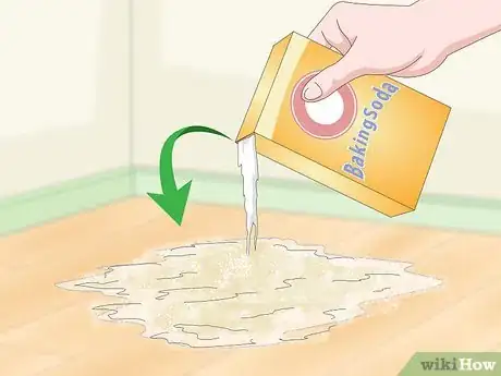 Image titled Clean Cat Urine Step 14