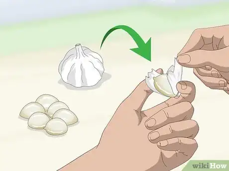 Image titled Make Garlic Garden Spray Step 1