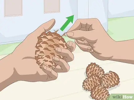 Image titled Clean Pine Cones Step 3