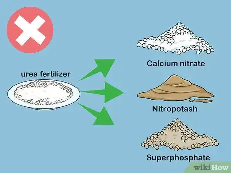 Image titled Apply Urea Fertilizer Step 12