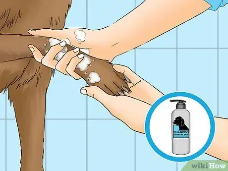 Image titled Remove Chewing Gum from a Dog's Hair Step 15