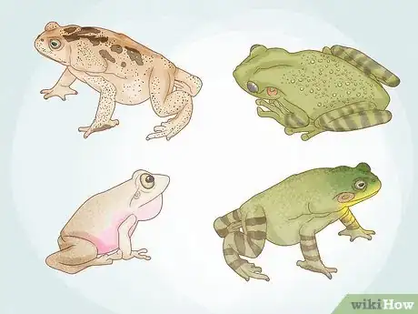 Image titled Get Rid of Frogs Step 1