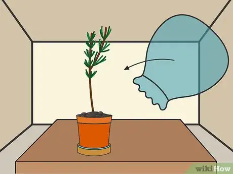 Image titled Grow Cuttings from Established Plants Step 10