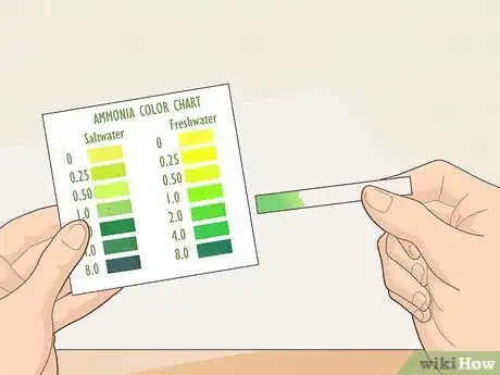 Image titled Check Ammonia in a Fish Tank Step 12