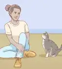 Teach Your Cat to Sit