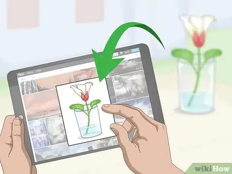 Image titled Identify Flowers Step 3