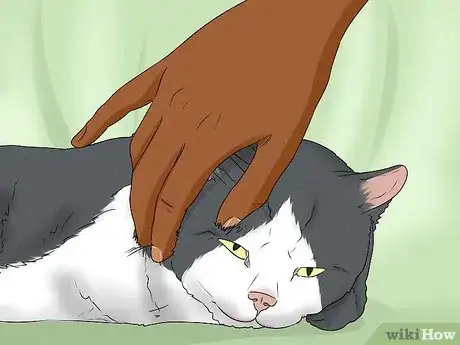 Image titled Give Your Cat a Massage Step 11