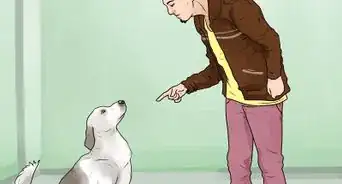 Stop Your Dog from Barking at Strangers