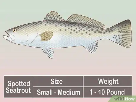 Image titled Create a Setup for Inshore Fishing Step 30