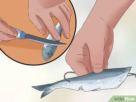 Image titled Catch Salmon Step 12