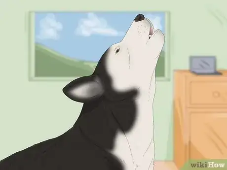 Image titled Why Do Dogs Howl at Sirens Step 7