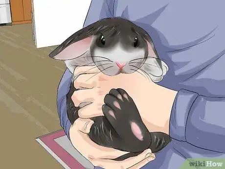 Image titled Teach a Rabbit Not to Scratch Step 2