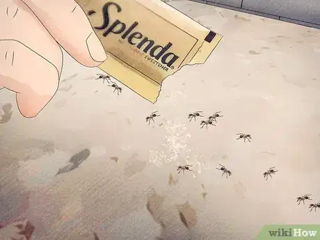 Image titled Get Rid of Ants Naturally Step 12