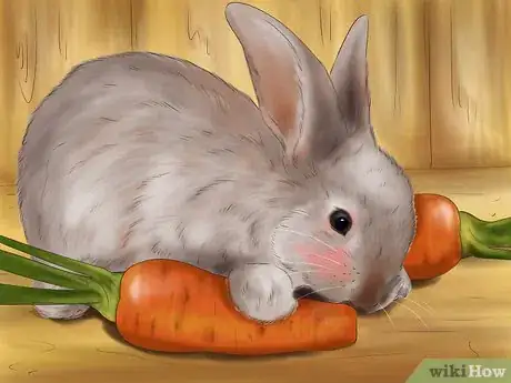 Image titled Raise a Healthy Bunny Step 3