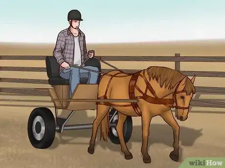 Image titled Train a Horse to Drive Step 16