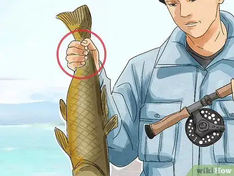 Image titled Unhook a Fish Step 1