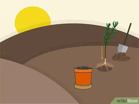 Image titled Grow Cuttings from Established Plants Step 12