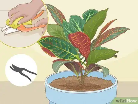 Image titled Prune Croton Plants Step 7