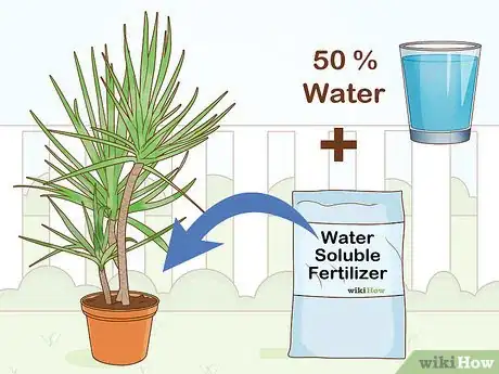 Image titled Care for a Madagascar Dragon Tree Step 10