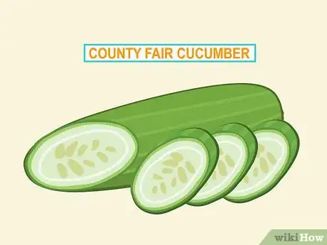 Image titled Grow Cucumbers to Pickle Step 04