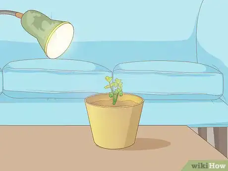 Image titled Grow Plants Faster Step 14