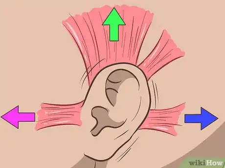 Image titled Wiggle Your Ears Step 8