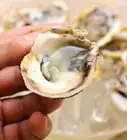 Shuck Oysters