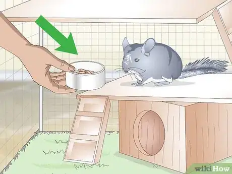 Image titled Care for Chinchillas Step 11