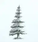 Draw a Detailed Tree