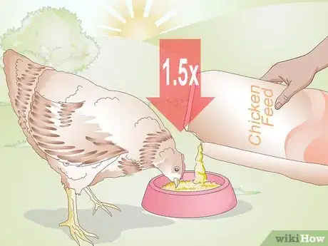 Image titled Feed Chickens during the Winter Step 1