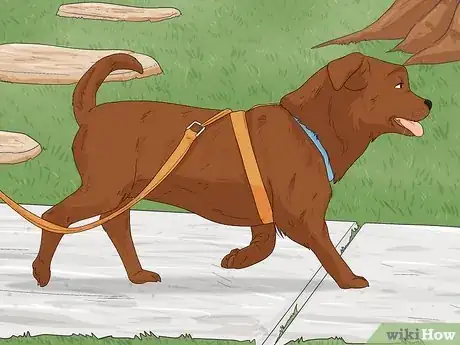 Image titled Choose a Pet Step 16