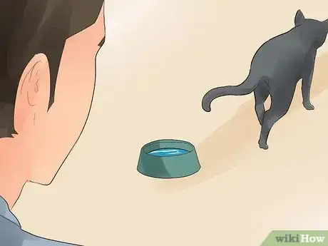 Image titled Know if Your Cat Is Dying Step 11